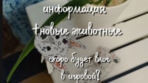 новые собаки +скоро будет влог в игровой?! чего???✨🥳🫶🍓