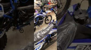 PROGASI & BKGTR отличаются?