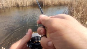 Рыба КЛЮËТ НА КАЖДОМ забросе на мормышку! 
Не реальный клёв!
