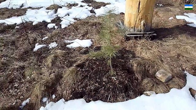 Начинающим пчеловодам, набор во 2 группу.