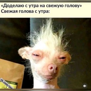 заходи на стрим на 49 подписчиков пожалуйста подпишись чтобы было 50