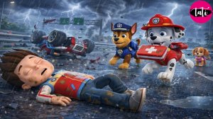Щенячий патруль и Маршалл. Залипательное видео. Мультфильм для детей и малышей. Анимация 432