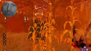 Like I wouldn't have seen it | Dead by Daylight | Letsplay [No Commentary]