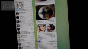 разбор нед 6-АКЦЕНТЫ