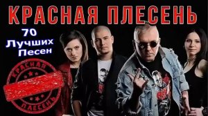 Красная Плесень - 70 лучших песен