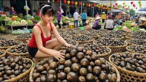 Собрала множество улиток, лягушек, угрей, черепах. Торговля на местном рынке. Таймлапс. Фуонг