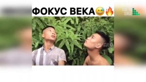 Смех до слез   Лучшие приколы 2026