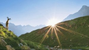 Природа. Самые красивые места дикой природы под расслабляющую музыку