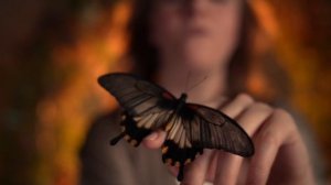 video_2025-04-02_09-45-13