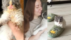 АРХИВ 2023 I устроила вечер воспоминаний | каким я взяла Бусю? | vlog 06-11.07.2023