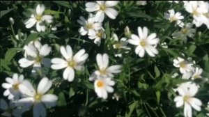 ЧУДЕСНЫХ ВЫХОДНЫХ!