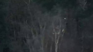 Убежище  фильм 2026 год.