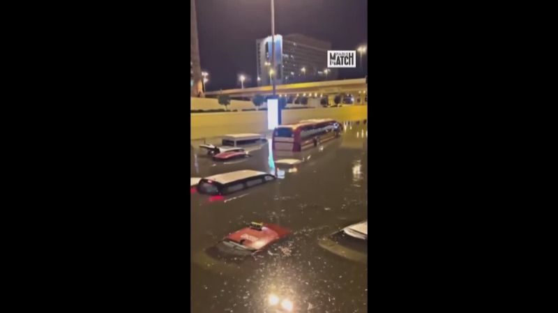 ������ � ��������� ����� ������ �� ����