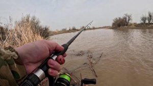 Весенний жор судака!!! Рыбалка на ждиг на малых реках!!!