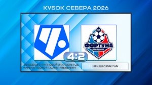 Чертаново Советский район Синие - Фортуна Отрадное. Обзор