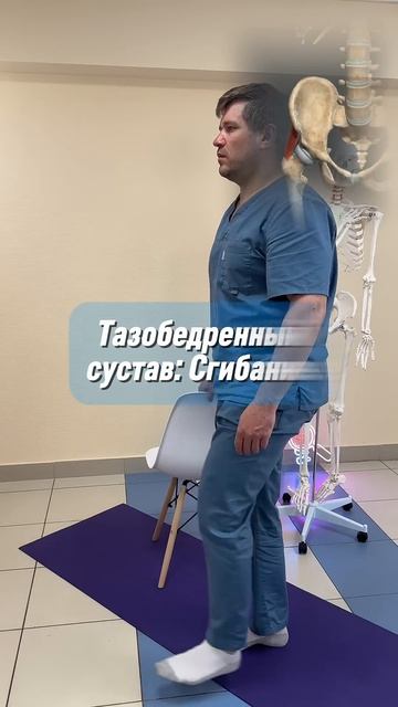 Малая ягодичная мышца