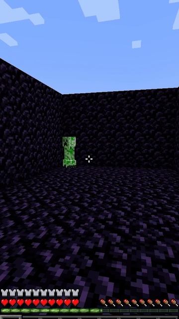 Смогу ли я.. в Майнкрафте