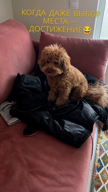 когда даже выбор места — достижение 😂