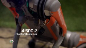 Тест-драйв локаторов для отслеживания собак | «Чудо техники»