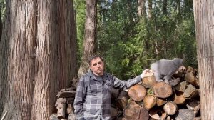 Нам отказали в страховке дома. Пришлось срочно переделывать