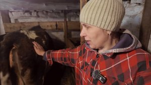 Мне не сложно, хоть так отдохну. Муж в козовнике, я в коровнике 😊