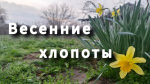#262 Весна. Начало огородного сезона.