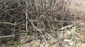 Объем 💥работы 💥Очистка двора💥  ПОДПИШИСЬ