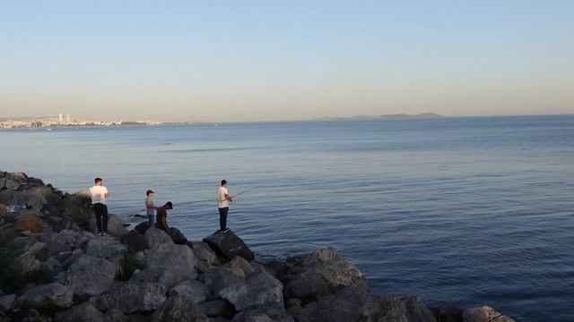 Стамбул июнь 2025 море Босфор вид с высоты птичьего полёта смотреть онлайн