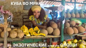 ч. 2  Куба. ЭКЗОТИЧЕСКИЕ для Кубы ОВОЩИ     Цикл Куба во мраке