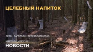 Новости. Центральный регион | Фундамент урожая | Весенний марафон | Целебный напиток