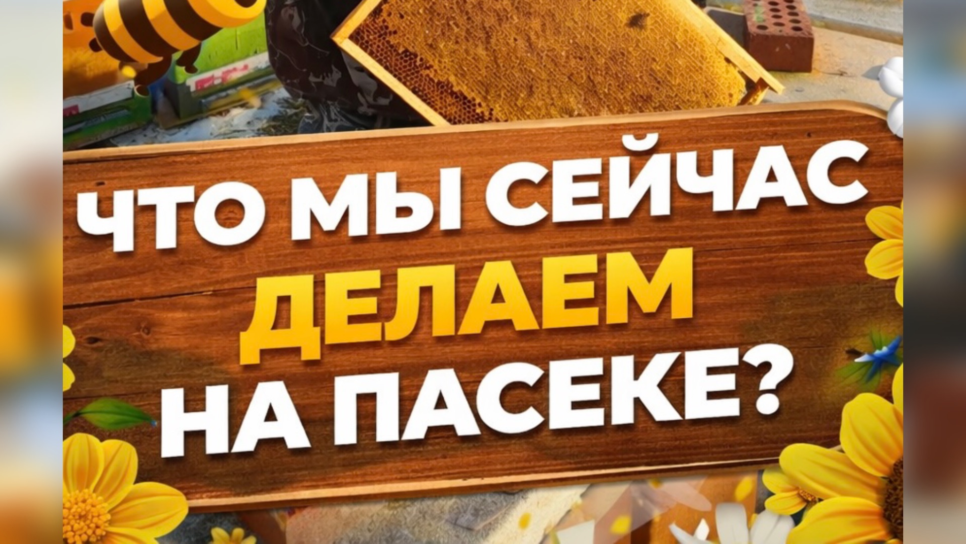 Что мы сейчас делаем на пасеке? Работа началась