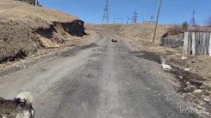 Жизнь в развалюхе Лежит мужик ничей  Моя вина в этом
