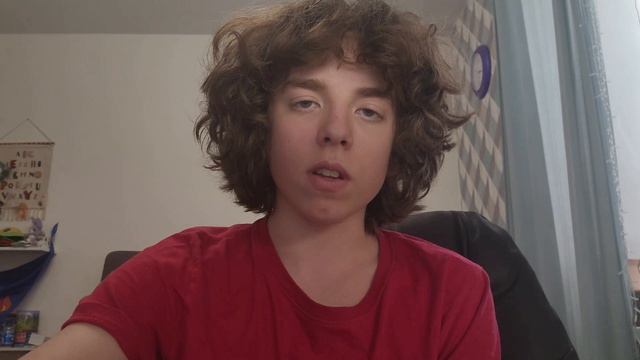 Видео_заявка