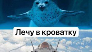 гулькаем отвечаем на вопросы и пьём квас