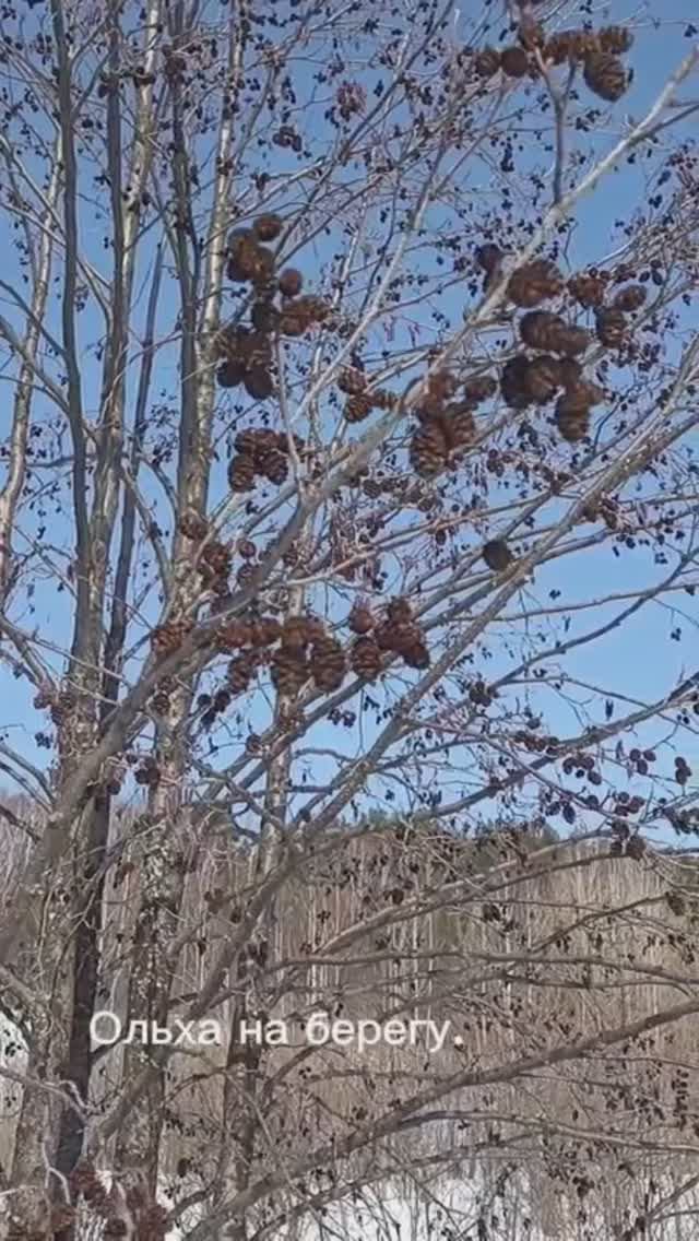 Середина марта на реке Вятке.