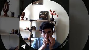 Just A Feeling intro - Charlie Musselwhite cover #stratocastro