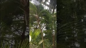 Ботанический сад в Питере