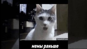 мемы сейчас и мемы раньше.mp4