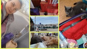 19/2026 УЕЗЖАЮ ДОМОЙ, РАСПАКОВКА ГОСТИНЦЕВ, КОШКИ СКУЧАЛИ ОЧЕНЬ 🥹🐈⬛🐈