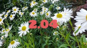 Лунный календарь Комнатного цветовода с30.03-5.04.26г.