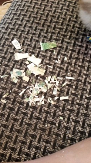 На ваши вопросы отвечаю