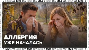 Орешник и ольха зацвели в парках Москвы - Москва 24