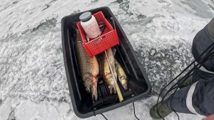 Весенняя рыбалка на самоловки 2026