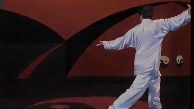 ТьянШи Инь-Ян Багуачжан 9-Питон   .mp4