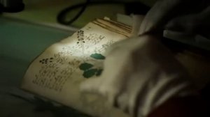 Этот манускрипт не могли прочесть 600 лет. ИИ попробовал и выдал страшный результат