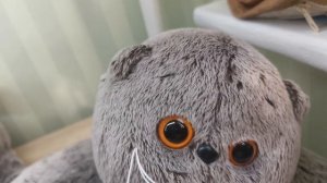 Басик говорит нет если он скажит да то он будет выполнять задание