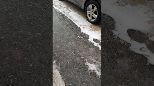 влог с гулянки 🦭