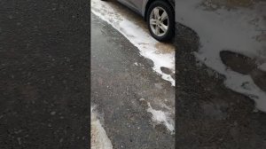 влог с гулянки 🦭