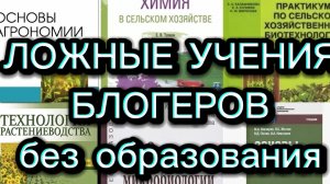 БЛОГЕР БЕЗ ОБРАЗОВАНИЯ ИЛИ КТО ТАКАЯ ИИ АЛИСА?.29/03/2026