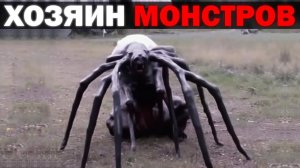 ФЕРМЕР ЗАВЕЛ ЭТО... | Сюжет 4NOMALY analog horror